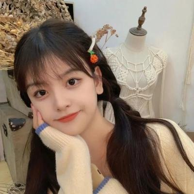 小狮王守护队:狮王再起