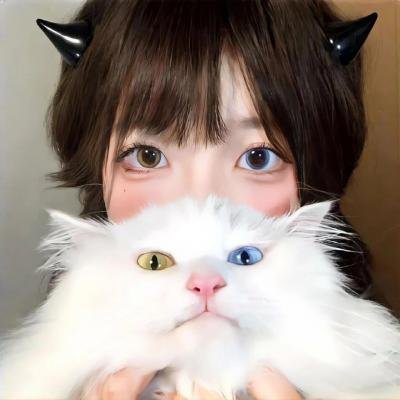 九星报喜